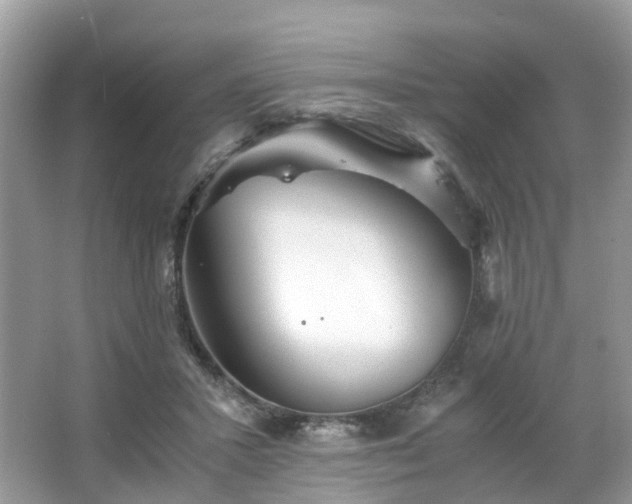 X0000063520407200601231521