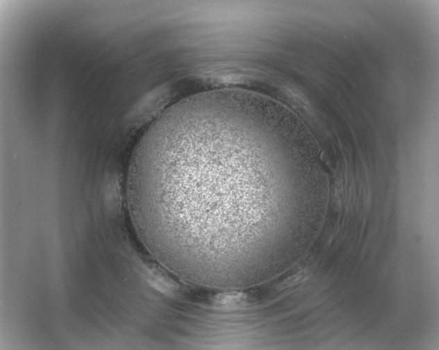 X0000063520410200601231521