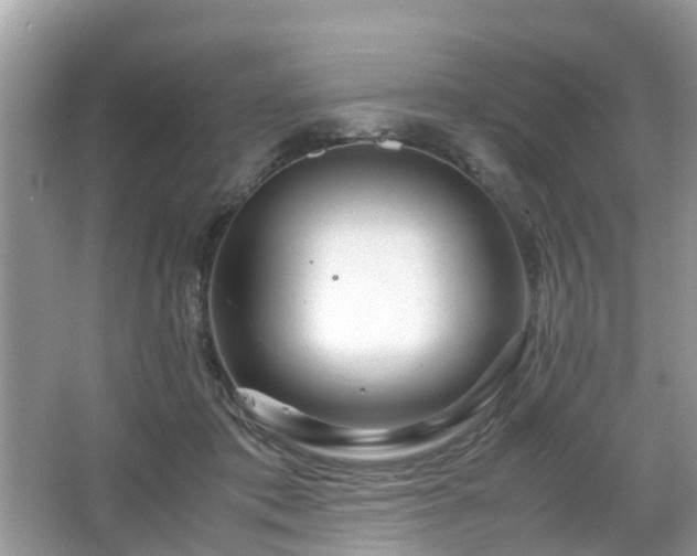 X0000063520413200601231521