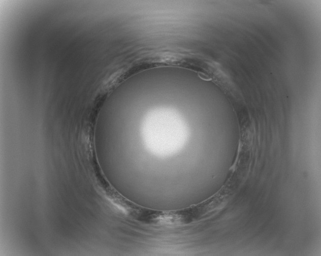 X0000063520415200601231521