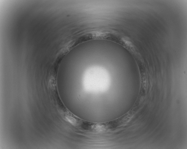 X0000063520419200601231521