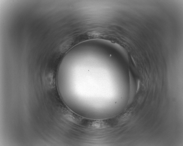 X0000063520420200601231521