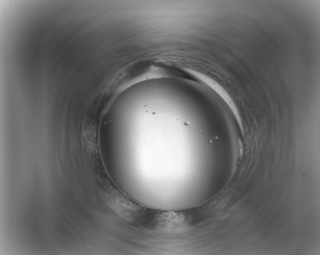 X0000063520421200601231521