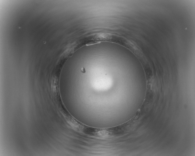 X0000063520423200601231520