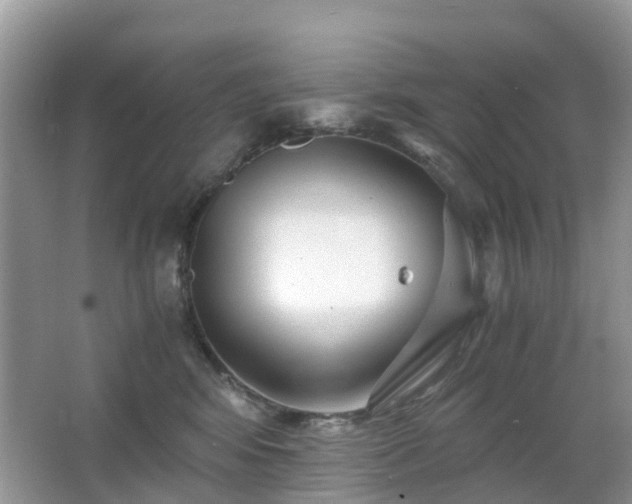 X0000063520424200601231520