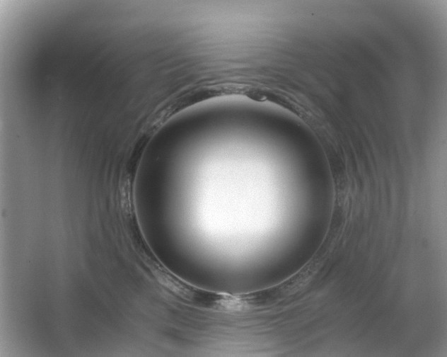 X0000063520425200601231520