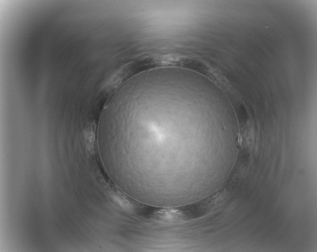 X0000063520427200601231520