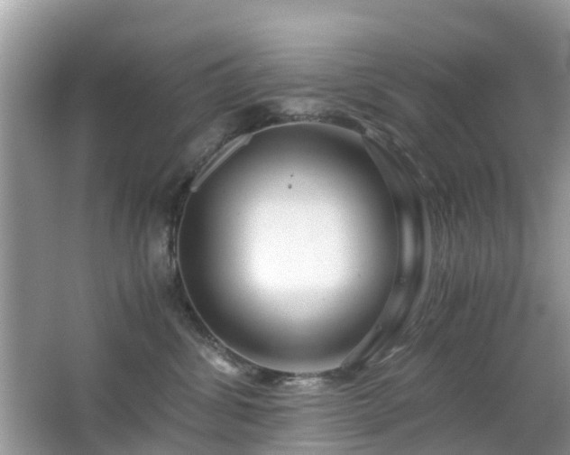 X0000063520428200601231520