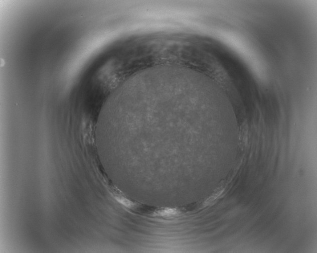 X0000063520431200601231520