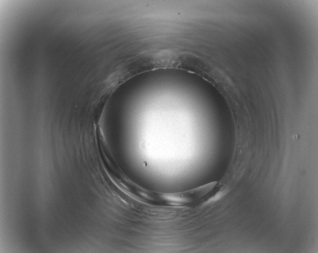 X0000063520432200601231520