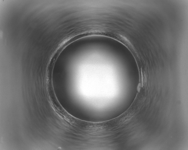 X0000063520435200601231520