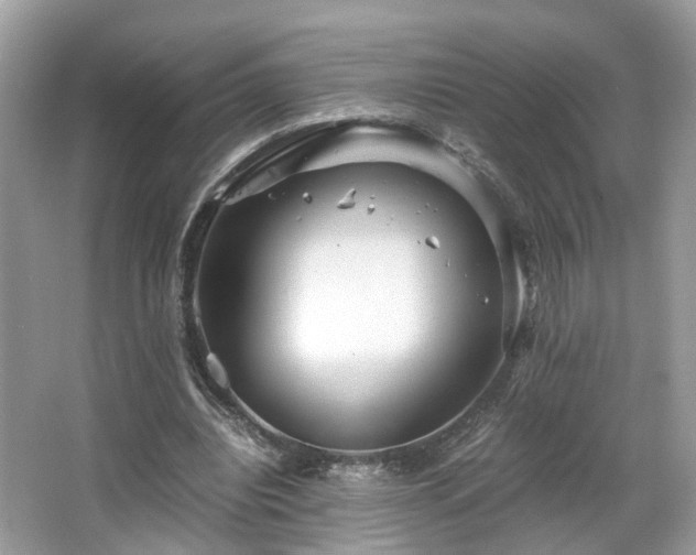 X0000063520440200601231520