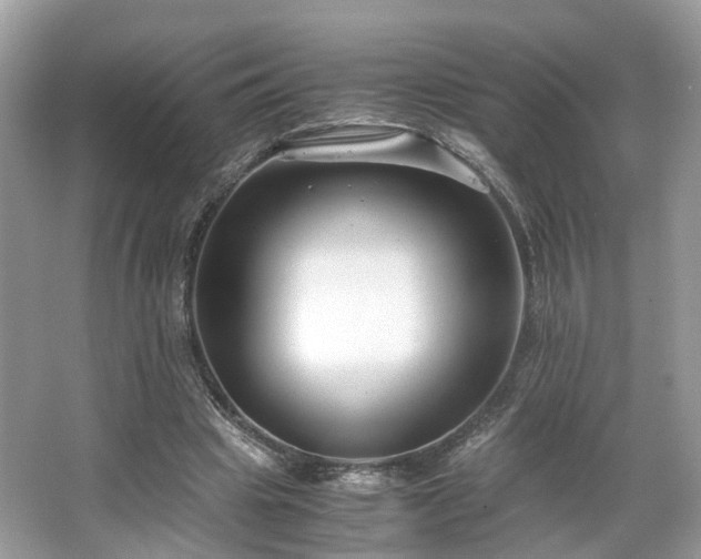 X0000063520441200601231520