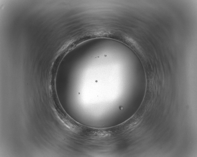 X0000063520443200601231520