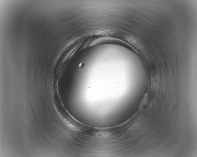 X0000063520444200601231520