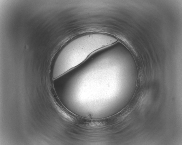 X0000063520445200601231520