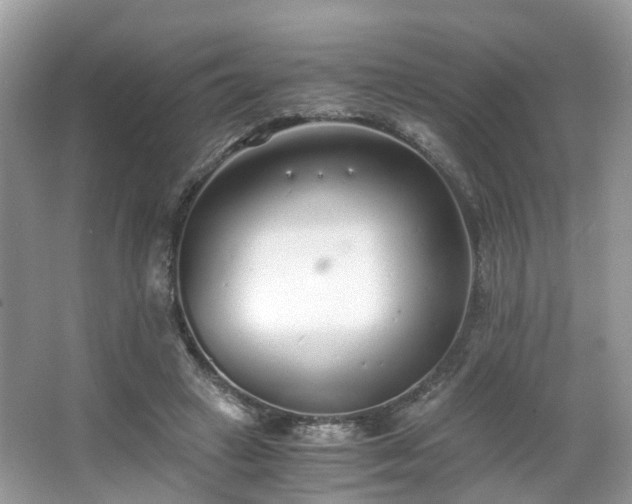 X0000063520449200601231520