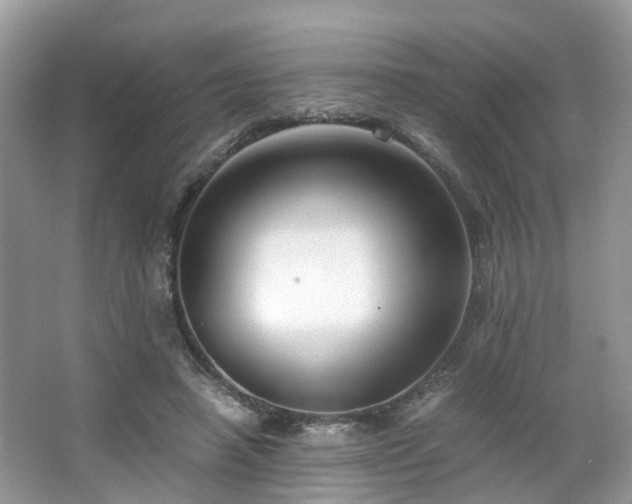 X0000063520450200601231520