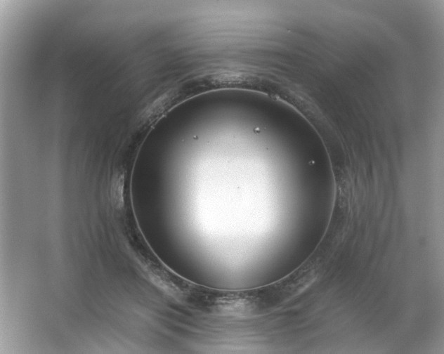 X0000063520454200601231520