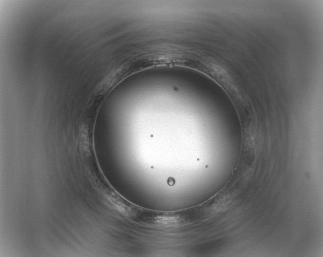 X0000063520457200601231520