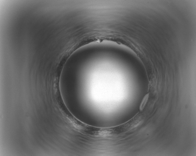 X0000063520462200601231520