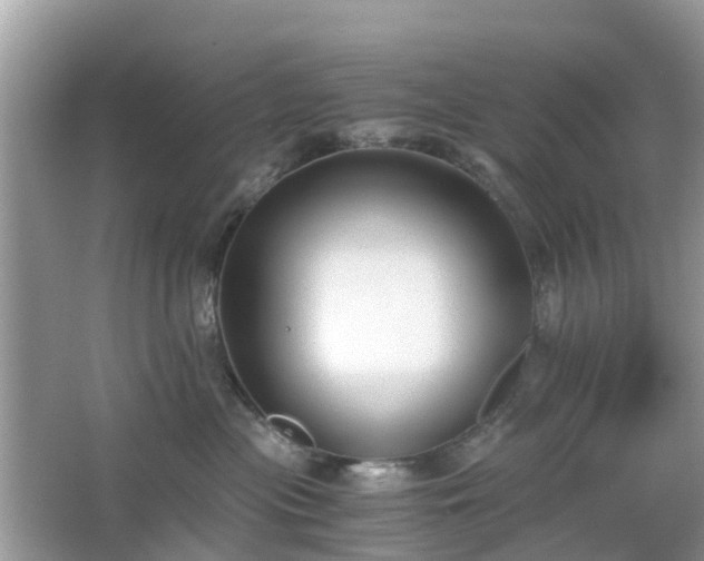 X0000063520477200601231520