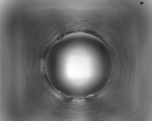 X0000063520480200601231520