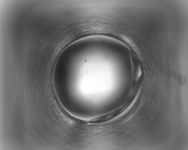 X0000063520481200601231520