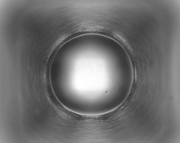 X0000063520483200601231519