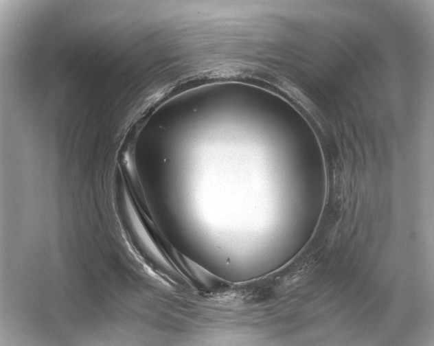 X0000063520485200601231519