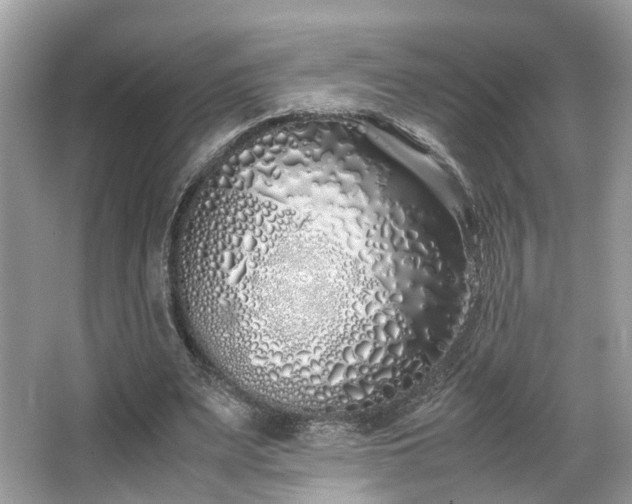 X0000063520487200601231519