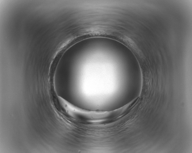 X0000063520488200601231519