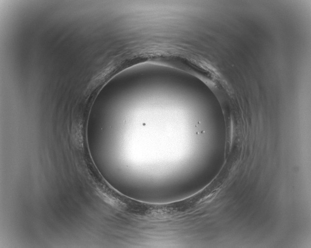 X0000063520489200601231519