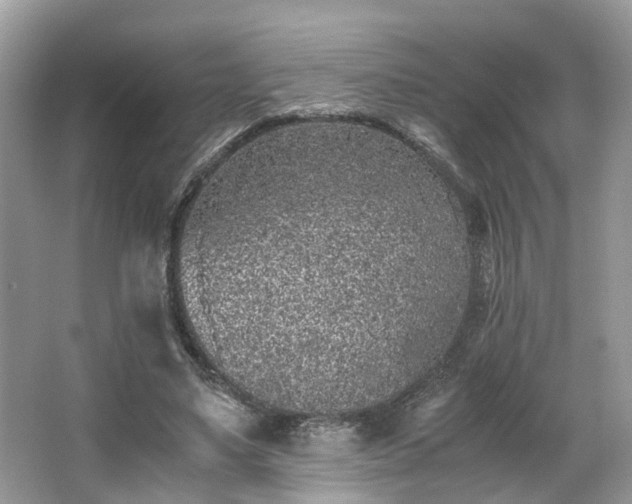 X0000063520491200601231519