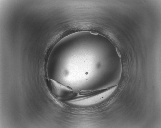 X0000063520493200601231519