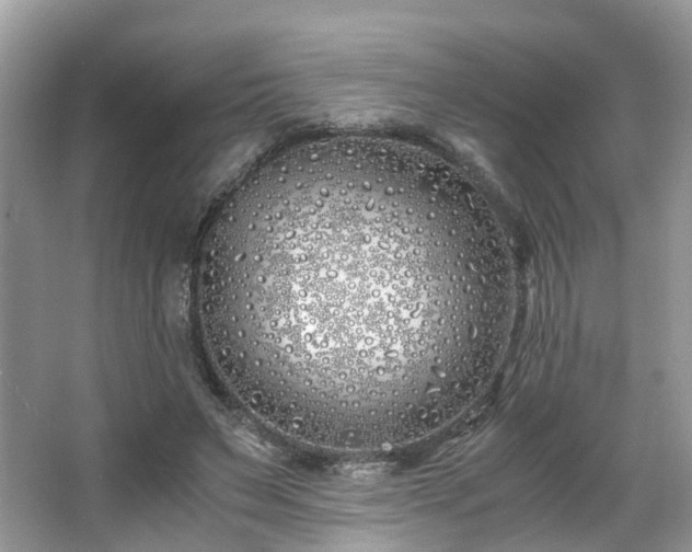 X0000063520495200601231519