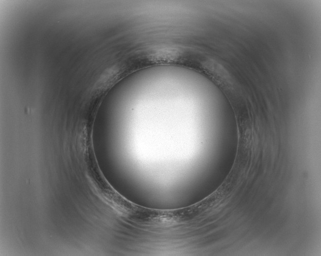 X0000063520498200601231519