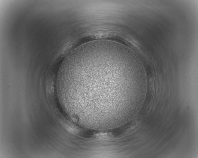 X0000063520499200601231519