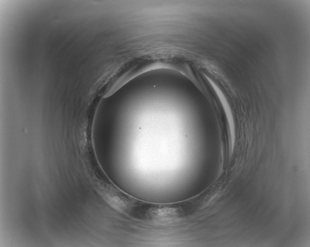 X0000063520501200601231519