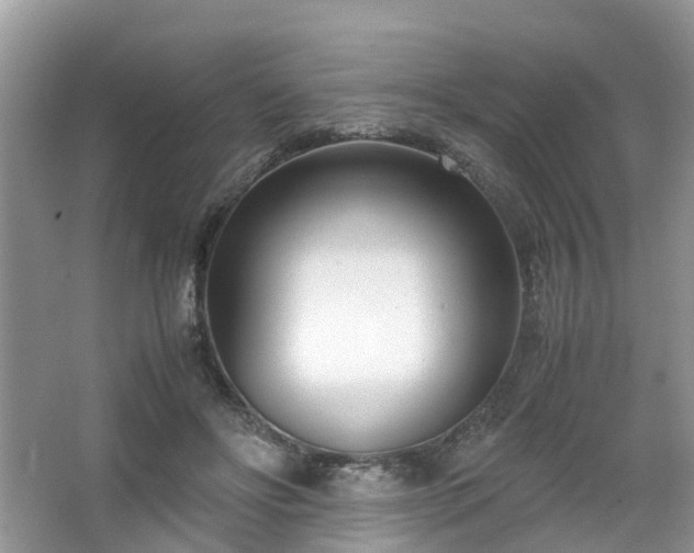 X0000063520502200601231519