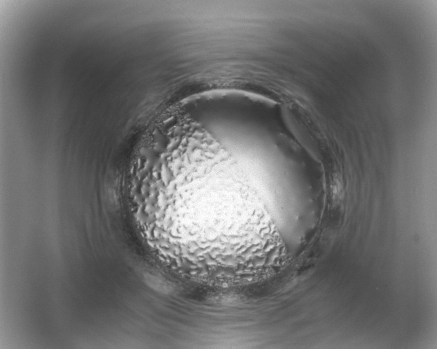 X0000063520503200601231519