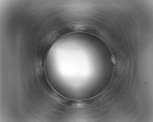 X0000063520506200601231519