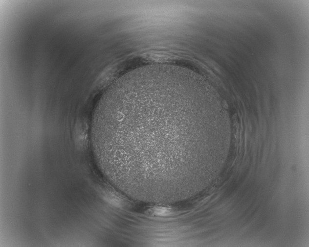 X0000063520507200601231519