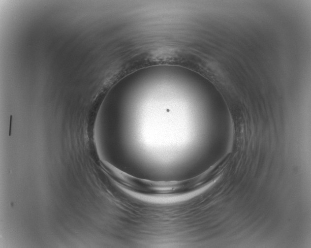 X0000063520508200601231519