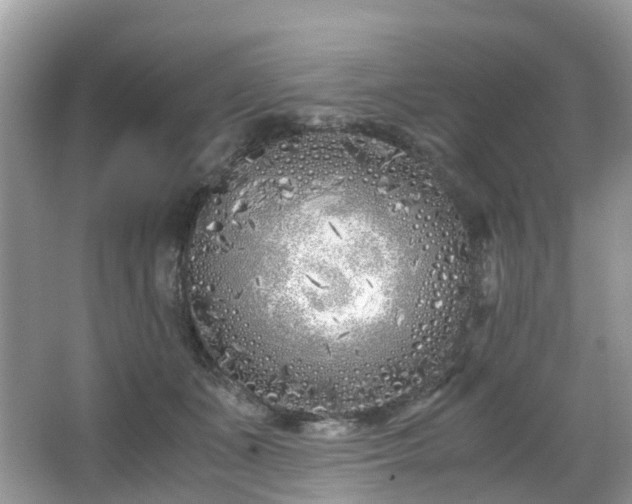 X0000063520511200601231519