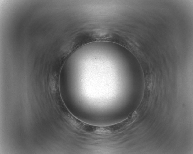 X0000063520515200601231519