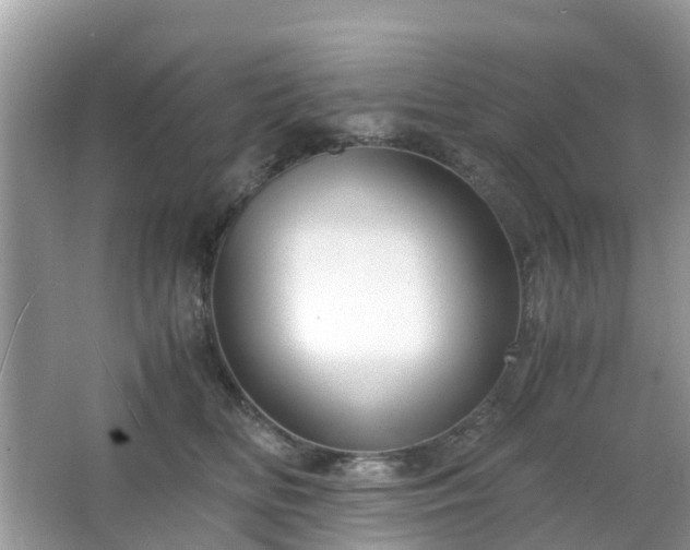 X0000063520518200601231519