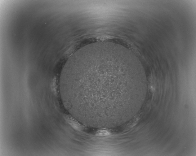 X0000063520519200601231519