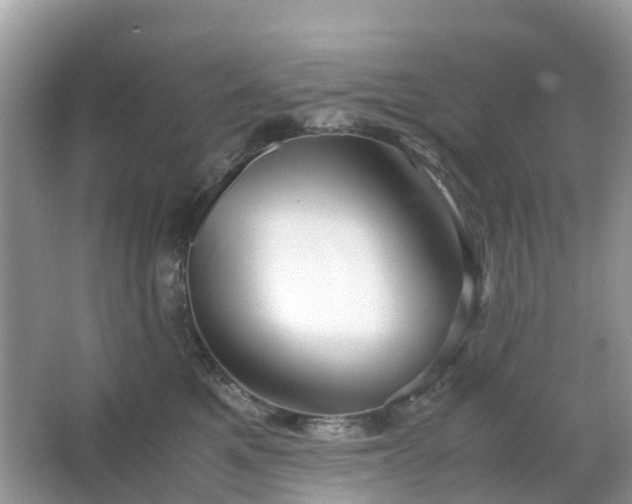 X0000063520521200601231519