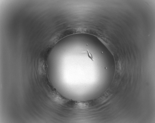 X0000063520522200601231519